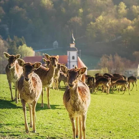 Gostinjska kuća Jelenov Greben