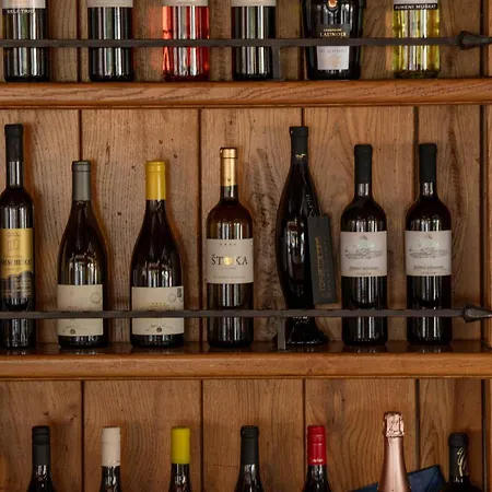 Gæstehus Jelenov Greben 3*