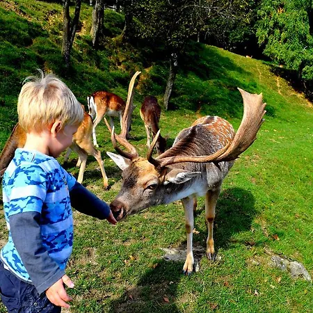 Jelenov Greben 3* Podčetrtek