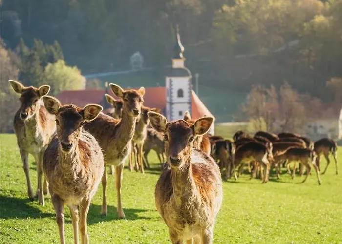 招待所 鹿礁旅馆