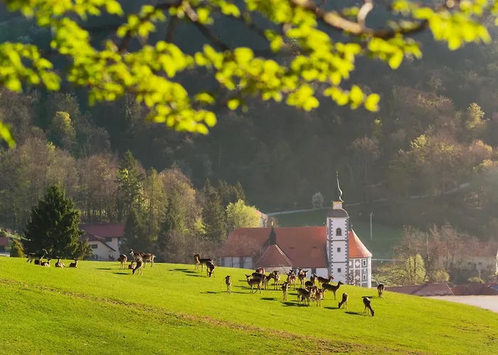 鹿礁旅馆 3* 博德森特克