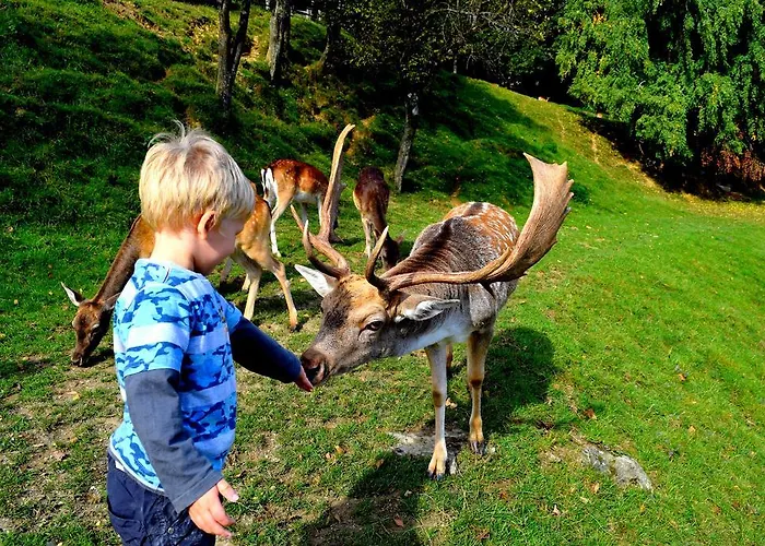 Jelenov Greben 3* Podcetrtek